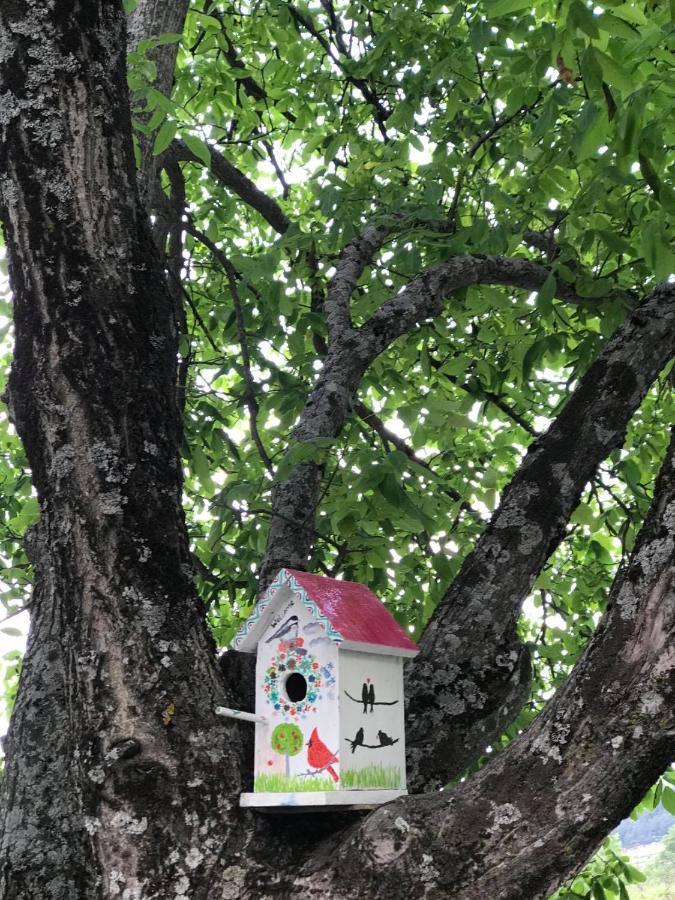 Roza'S Guest House * Mestia